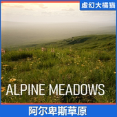UE5虚幻5 阿尔卑斯大草原场景青草野花野草 Grass ALPINE MEADOW