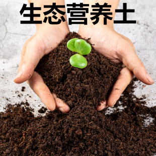 花土营养土种植土通用型多肉土多肉营养土绿萝土花泥土壤 包邮