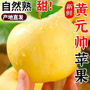 正宗东北辽宁特产老树黄元帅苹果不套袋苹果精品优质大果包邮