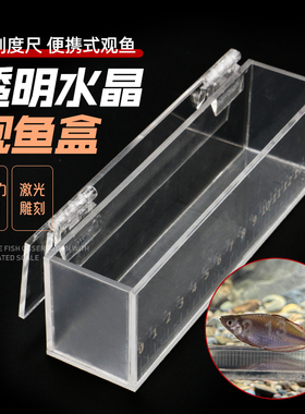 观鱼盒小物钓透明带刻度亚克力野采鳑鲏白条马口小溪流野营观察盒