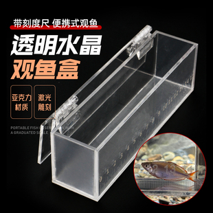 观鱼盒小物钓透明带刻度亚克力野采鳑鲏白条马口小溪流野营观察盒