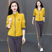 洋气立领卫衣跑步休闲两件套减龄 时尚 运动套装 女春季
