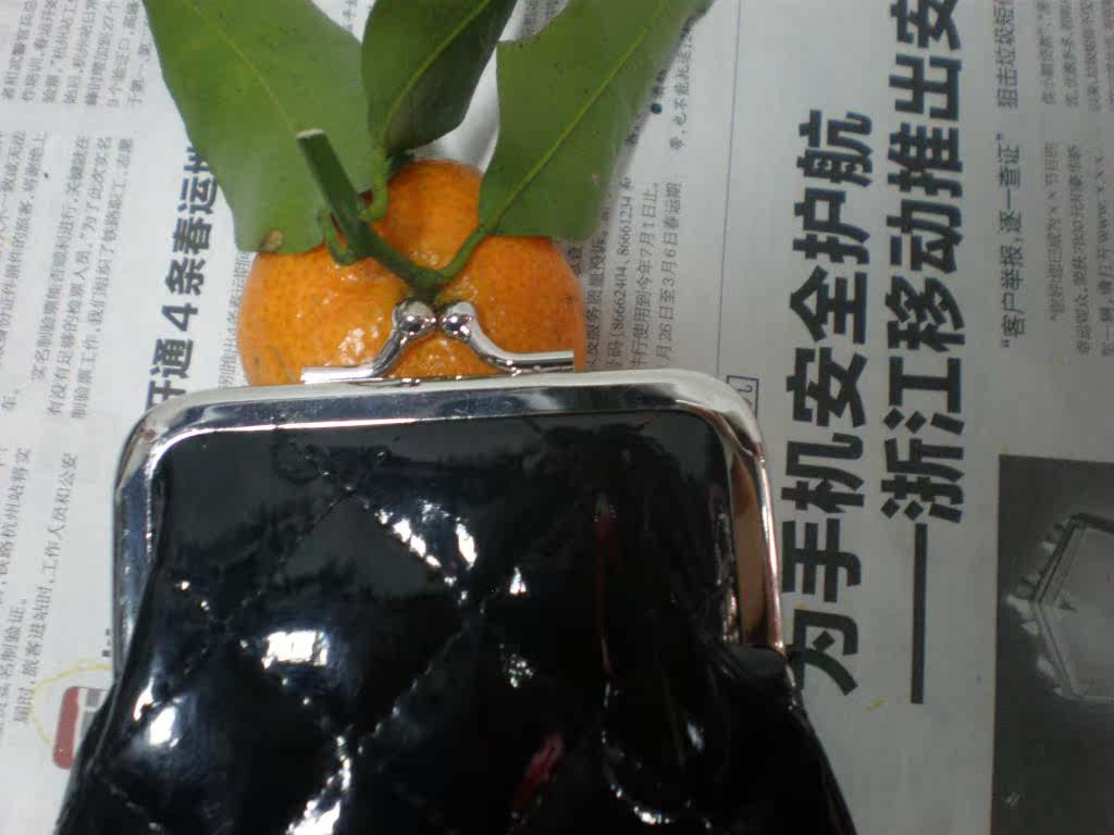 Sac homme - Ref 56189 Image 3