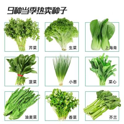 春季蔬菜种子种植大全各
