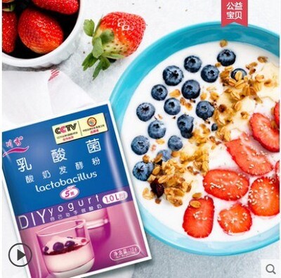Lactobacillus yoghurt fermentation bacteria yoghurt yoghu