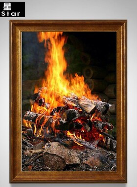 2016 New 5D DIY Diamond Painting Warm Firewood Combustion E