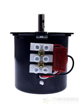 68KTYZ 220V AC 28W Permanent Magnet Micro Gear Motor 50Hz Sy