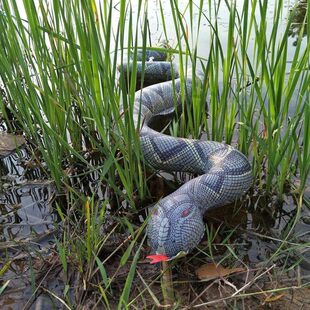 1.2M Inflatable Snake Toy Halloween Decoration Prop Craft Su