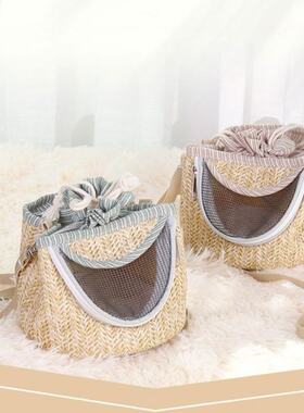 Portable Small Pet Carrier Breathable Outdoor Travel Hedgeho