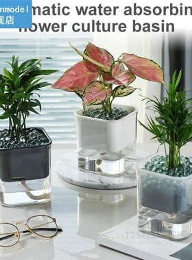 Automatic Water-absorbing Flowerpot Potted Hydroponic Plant
