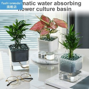 Automatic Water-absorbing Flowerpot Potted Hydroponic Plant