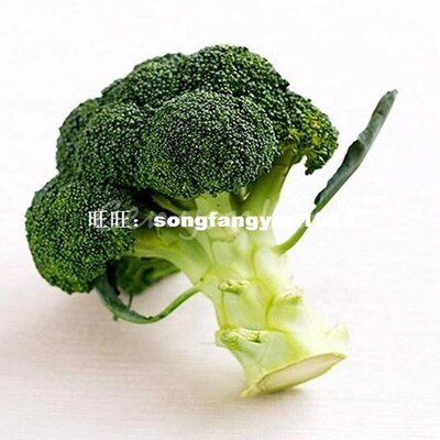 1 Pack 100 Seeds 2015 New Broccoli Brokoli Cauliflower Seed