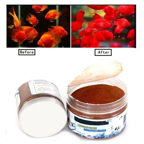 Brine Shrimp Eggs Artemia Fodder Ocean Healthy Nutrition Fi