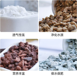 Succulent soil, nutrient soil, paving stone, perlite, granul