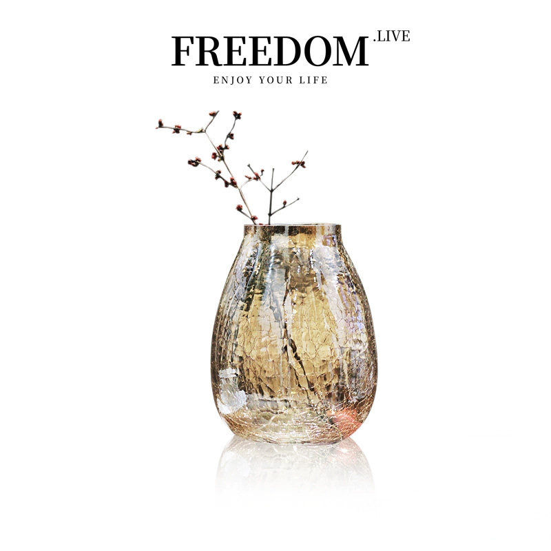 FREEDOM.LIVE花瓶 创意轻奢裂纹玻璃插花器透明家居摆件 | 冰花