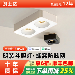 明装斗胆灯防眩123头明装筒射灯全光谱超薄无吊顶极简无主灯客厅
