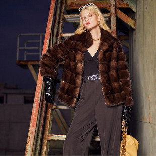 进口俄罗斯紫貂皮草外套立领横排短款 农夫原皮原色裘皮貂皮大衣女