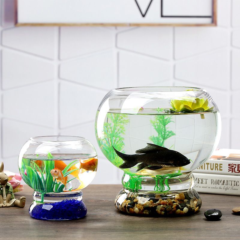 圆球玻璃鱼缸办公创意水培圆形小型乌龟缸
