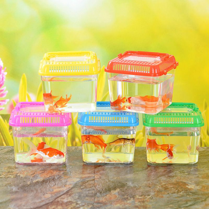 大小号塑料小鱼缸 塑料乌龟缸爬虫盒子塑料宠物盒饲养盒龟盒