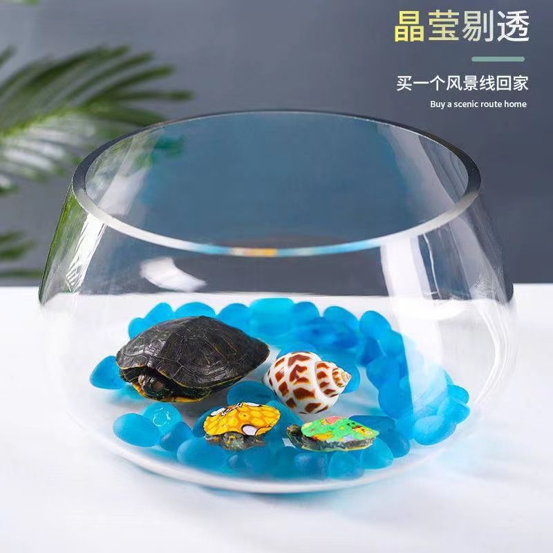 创意加厚透明玻璃乌龟缸圆形微景观专用办公桌家用鱼缸造景摆件
