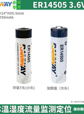 RAMWAY电池ER14505人员定位水表