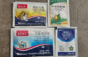 抗性霜霉病组合扬天下烯酰吗啉+真良丙森霜脲氰+氰霜唑+芸苔素