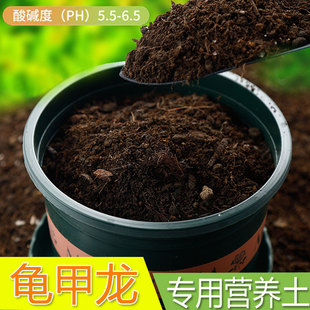 龟甲龙专用土南非多肉植物盆栽土壤爬藤块根肥料龟甲龙专用营养土