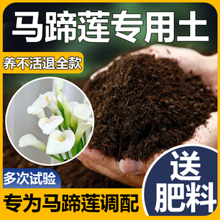 马蹄莲专用土种球块根盆栽肥料球根花卉土壤彩色马蹄莲专用营养土