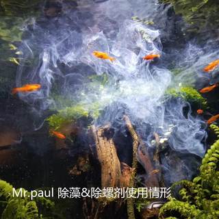 Mr.paul除藻剂除螺剂包邮泡芙丝藻刚毛藻绒毛藻不伤生物除藻药水