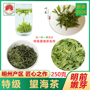 特级望海茶2026年明前新茶250克散装家庭农场直销宁海特产绿茶叶