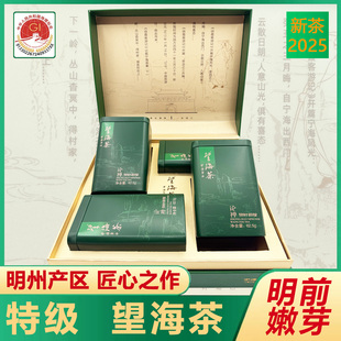 特级望海茶2025年明前新茶250克礼盒装农场直销宁波宁海特产绿茶