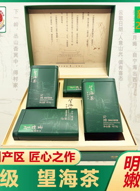 特级望海茶2026年明前新茶礼盒装