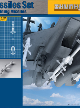 钢铁苍穹 臭鼬 SW48029 1/48 俄罗斯空军战斗机导弹套装