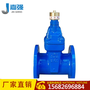 FDZ45X 软密封闸阀 信号法兰闸阀 球墨铸铁厂家直销 防盗锁闭闸阀