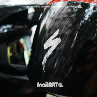 SN蜗牛 Specialized闪电山地公路车头盔车架金属贴纸sworks车队