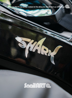 适用于shark鲨鱼摩托车头盔电脑金属贴纸个性装饰遮挡划痕