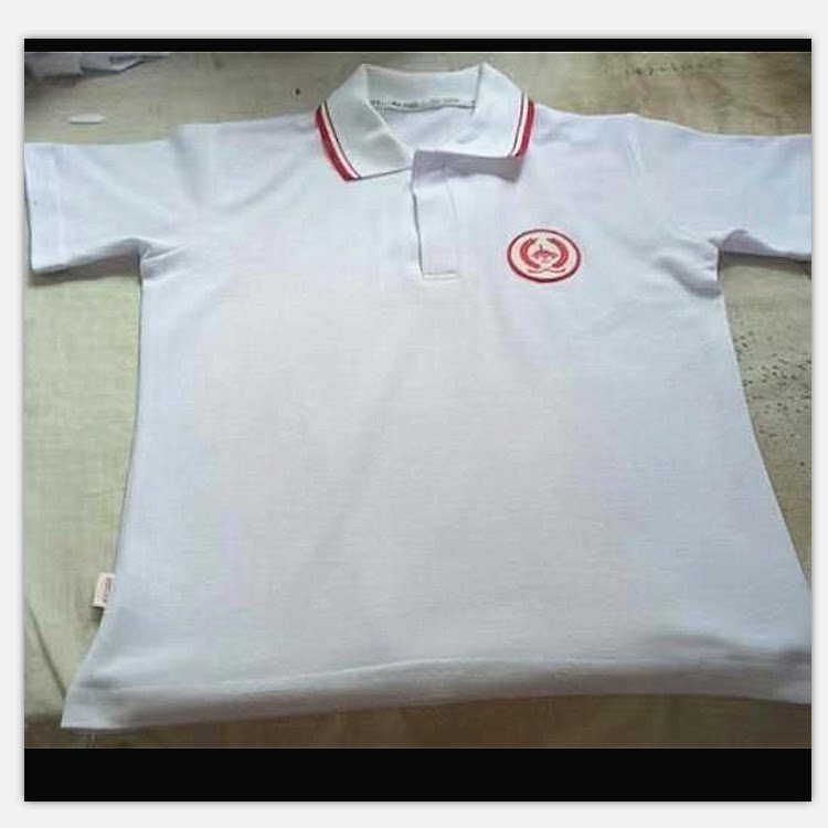 北京育才学校小学生夏季校服白色短袖t恤