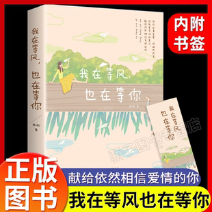 书未来等你青春过往爱情永恒 我在等风也在等你21个情感故事 一本洗涤心灵遇见爱情 你 言情小说青春校园小说 献给仍然相信爱情