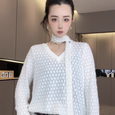 毛茸茸V领针织衫女2025新款