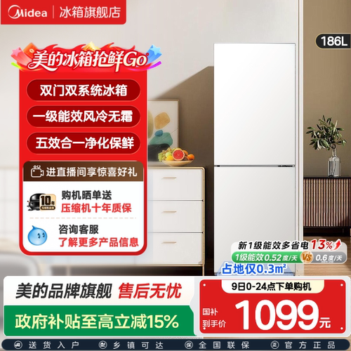 风冷无霜小冰箱一级能效节能省电