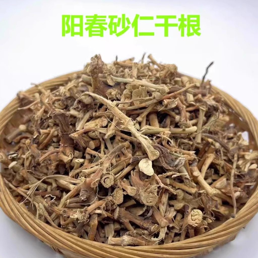 阳春特产春砂仁干根正宗本地干砂仁根砂仁根100g