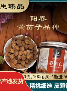 2025年生晒阳春特产黄苗子春砂仁正宗春砂仁沙仁瓶装100g包邮
