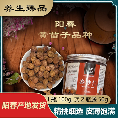 2025年生晒阳春特产黄苗子春砂仁正宗春砂仁沙仁瓶装100g包邮