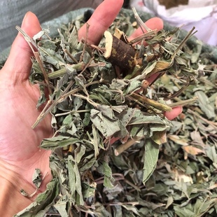 木豆叶新货中药材野生木豆叶子新鲜干货小孩出痘