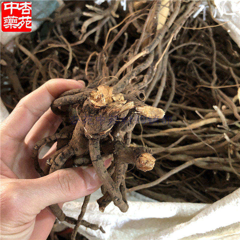 500克包邮血党中药材腺点紫金牛斑叶朱砂根 珍珠盖伞 铁郎伞