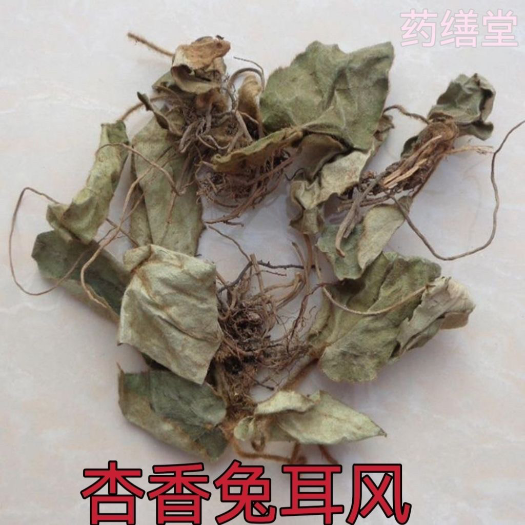 兔耳风 500克正品 杏香兔耳风 大血筋草 水上红 心肺草 石风丹