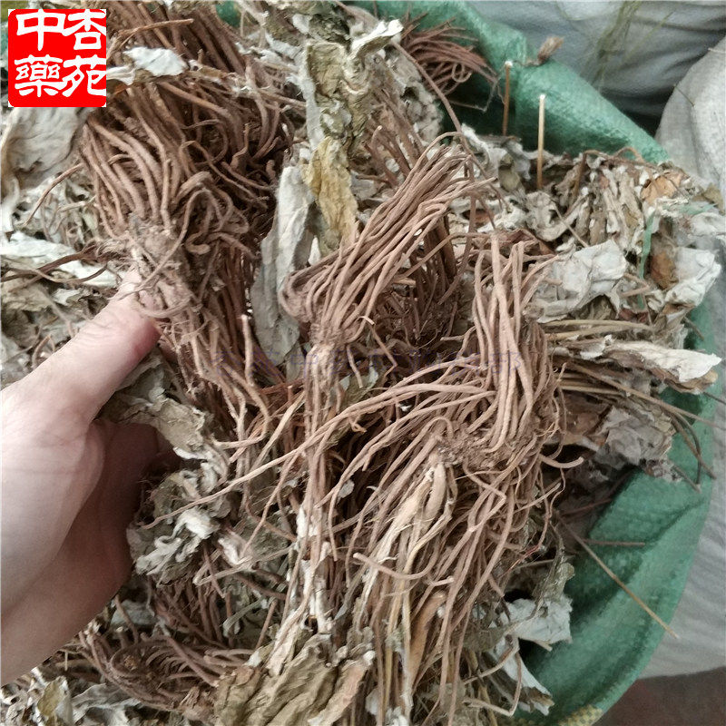 中药材白眉草 一枝香四皮香贴地香黑眉草中草药毛大丁草500g包邮