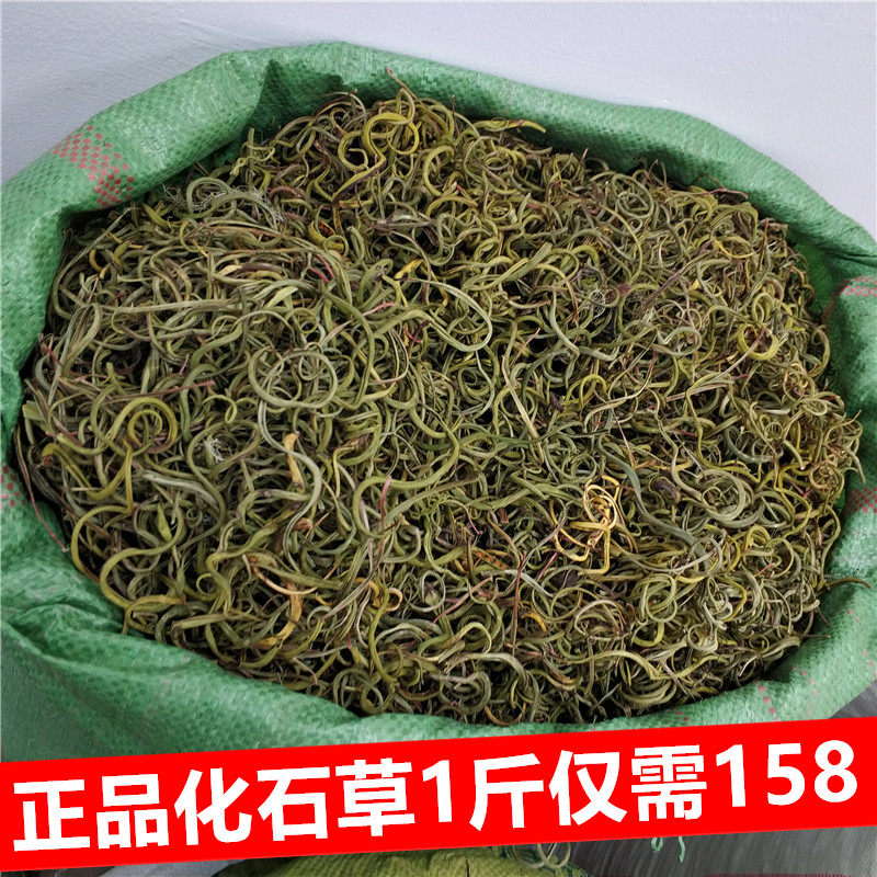 化石草中药材 500克包邮 化石草茶 结石中草药 紫蓝草肾精茶