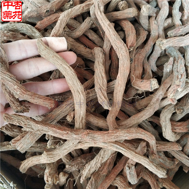 500克包邮丹参 无硫四川中江紫丹参条丹参中药材