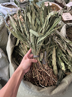 七星剑中药材500g 七星草小叶骨牌草 丹瓦剑草干品中草药